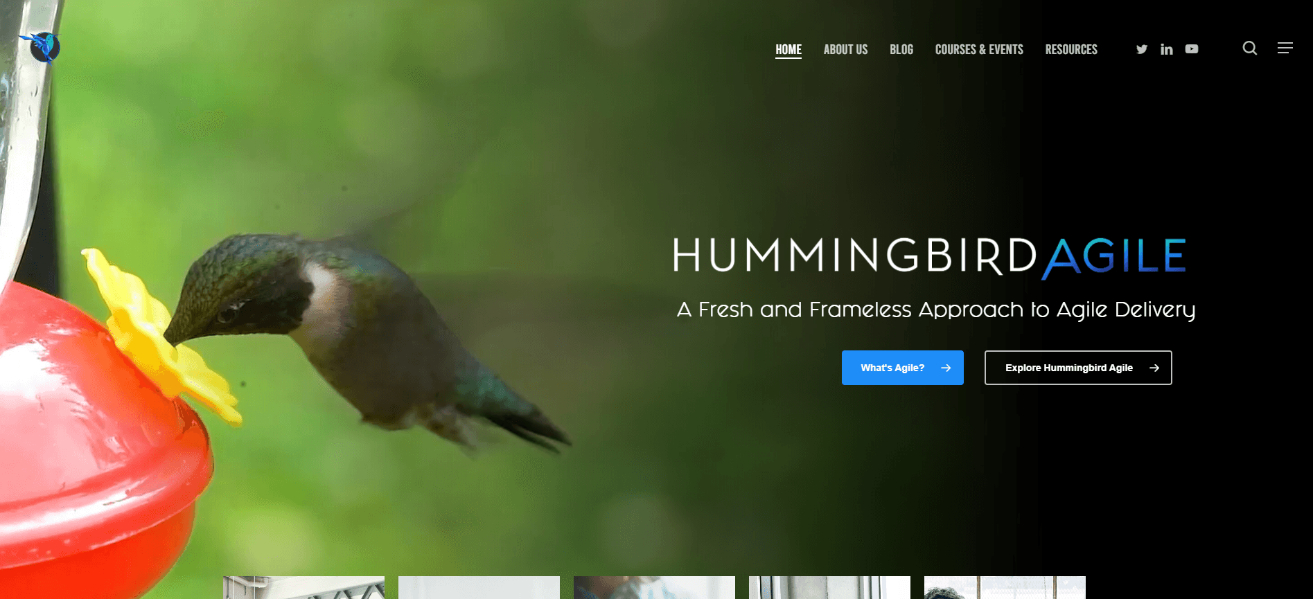 Hummingbird Agile